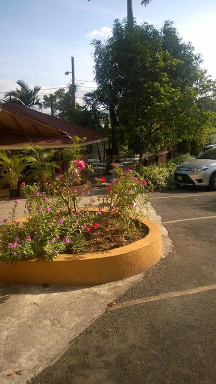 Palm Bay Guest House&Restaurant Montego Bay Extérieur photo